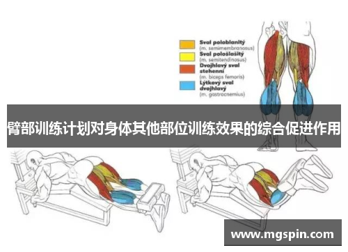 臂部训练计划对身体其他部位训练效果的综合促进作用