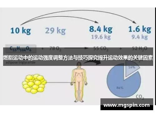 燃脂运动中的运动强度调整方法与技巧探究提升运动效果的关键因素